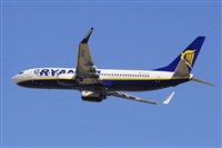 Miguel A. gueda Rguez.  (CANARY ISLANDS SPOTTING). Click to see full size photo