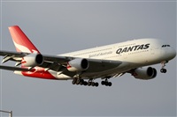Rubn Gil - Noisy Spotters. Click to see full size photo