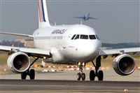 Javier de la Cruz - CANARY ISLANDS SPOTTING. Click to see full size photo