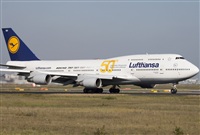 Miguel Alia - Noisy Spotters. Click to see full size photo