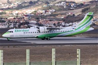 ©Alfonso Solís - Asociación Canary Islands Spotting. Click to see full size photo ©Alfonso Solís - Asociación Canary Islands Spotting. Click to see full size photo