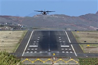 Rui Alves - Madeira Spotters. Click to see full size photo