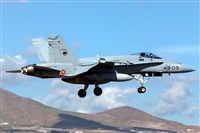 Florencio Martn Melin - Lanzarote Spotters. Click to see full size photo