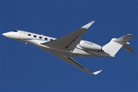 Miguel Alia - Noisy Spotters. Click to see full size photo