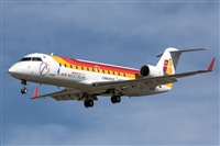 Bartolom Fernndez - Gran Canaria Spotters. Click to see full size photo