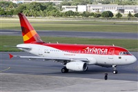 Rodrigo Carvalho - Noisy Spotters. Click to see full size photo