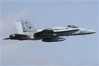 Alfonso Sols - Asociacin Canary Islands Spotting. Click to see full size photo