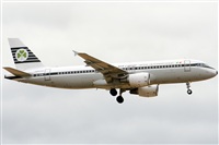 Paco Muoz Arencibia - Gran Canaria Spotters. Click to see full size photo