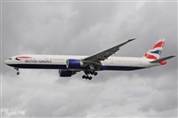 Miguel A. gueda Rguez.  (CANARY ISLANDS SPOTTING). Click to see full size photo