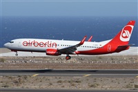 ©Alfonso Solís - Asociación Canary Islands Spotting. Click to see full size photo ©Alfonso Solís - Asociación Canary Islands Spotting. Click to see full size photo