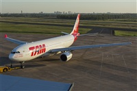 Naoto Goto - South American Spotters Asu-Py. Click to see full size photo