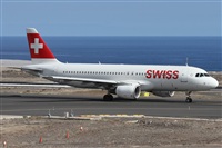 ©Alfonso Solís - Asociación Canary Islands Spotting. Click to see full size photo ©Alfonso Solís - Asociación Canary Islands Spotting. Click to see full size photo