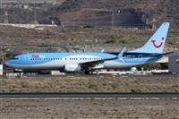 ©Alfonso Solís - Asociación Canary Islands Spotting. Click to see full size photo ©Alfonso Solís - Asociación Canary Islands Spotting. Click to see full size photo
