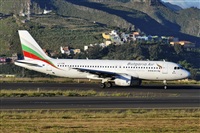 Alejandro Bethencourt (Canary Islands Spotting). Click to see full size photo