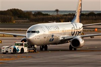 Javier de la Cruz - CANARY ISLANDS SPOTTING. Click to see full size photo