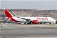 ©Alfonso Solís - Asociación Canary Islands Spotting. Click to see full size photo ©Alfonso Solís - Asociación Canary Islands Spotting. Click to see full size photo