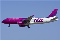 Saimon J Rodriguez   -   Canary Islands Spotting. Click to see full size photo