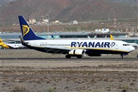 Alfonso Sols - Asociacin Canary Islands Spotting. Haz click para ampliar