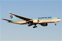 Rubn C.. Click to see full size photo