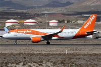 ©Alfonso Solís - Asociación Canary Islands Spotting. Click to see full size photo ©Alfonso Solís - Asociación Canary Islands Spotting. Click to see full size photo