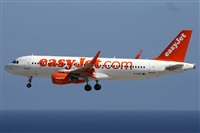 Alfonso Sols - Asociacin Canary Islands Spotting. Haz click para ampliar
