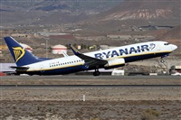 Alfonso Sols - Asociacin Canary Islands Spotting. Click to see full size photo