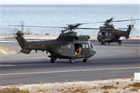 Florencio Martn Melin - Lanzarote Spotters. Click to see full size photo