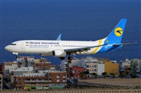 Miguel A. gueda Rguez.  (CANARY ISLANDS SPOTTING). Click to see full size photo