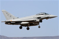 Alfonso Sols - Asociacin Canary Islands Spotting. Haz click para ampliar