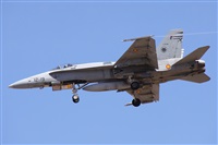 Alfonso Sols - Asociacin Canary Islands Spotting. Click to see full size photo