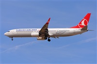 Miguel A. gueda Rguez.  (CANARY ISLANDS SPOTTING). Haz click para ampliar