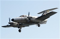 Adrin Alonso Lemes - Lanzarote Spotters. Haz click para ampliar
