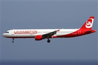 ©Alfonso Solís - Asociación Canary Islands Spotting. Click to see full size photo ©Alfonso Solís - Asociación Canary Islands Spotting. Click to see full size photo