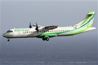 Alfonso Sols - Asociacin Canary Islands Spotting. Haz click para ampliar
