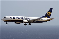 Alfonso Sols - Asociacin Canary Islands Spotting. Click to see full size photo