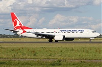 Alfonso Sols - Asociacin Canary Islands Spotting. Click to see full size photo