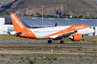 Miguel A. gueda Rguez.  (CANARY ISLANDS SPOTTING). Click to see full size photo