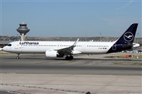 ©Alfonso Solís - Asociación Canary Islands Spotting. Click to see full size photo ©Alfonso Solís - Asociación Canary Islands Spotting. Click to see full size photo