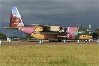 Adolfo Bento - Gran Canaria Spotters. Click to see full size photo