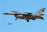 ©Alejandro H.L - Gran Canaria Spotters. Click to see full size photo ©Alejandro H.L - Gran Canaria Spotters. Click to see full size photo