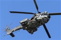 Florencio Martn Melin - Lanzarote Spotters. Click to see full size photo