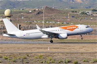 Miguel A. gueda Rguez.  (CANARY ISLANDS SPOTTING). Click to see full size photo