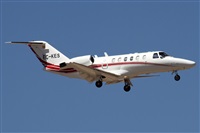Alfonso Sols - Asociacin Canary Islands Spotting. Haz click para ampliar