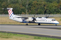 Miguel A. gueda Rguez.  (CANARY ISLANDS SPOTTING). Click to see full size photo