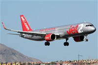 ©Alfonso Solís - Asociación Canary Islands Spotting. Click to see full size photo ©Alfonso Solís - Asociación Canary Islands Spotting. Click to see full size photo