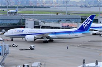 Miguel A. gueda Rguez.  (CANARY ISLANDS SPOTTING). Click to see full size photo