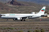 Alfonso Sols - Asociacin Canary Islands Spotting. Haz click para ampliar