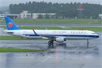 Miguel A. gueda Rguez.  (CANARY ISLANDS SPOTTING). Click to see full size photo