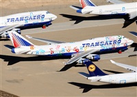 ©Javier Rodríguez. Click to see full size photo ©Javier Rodríguez. Click to see full size photo