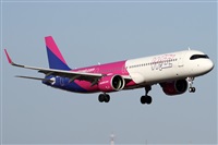 ©Alfonso Solís - Asociación Canary Islands Spotting. Click to see full size photo ©Alfonso Solís - Asociación Canary Islands Spotting. Click to see full size photo